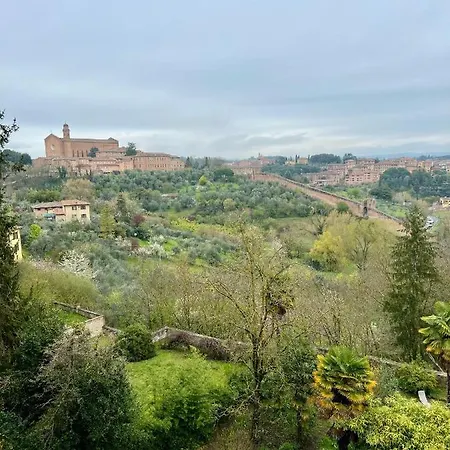 Bed and breakfast Palazzo Bruchi 3*