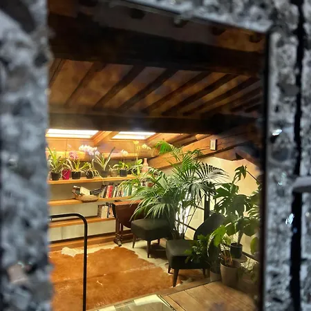 Alojamento de Acomodação e Pequeno-almoço Palazzo Bruchi 3*